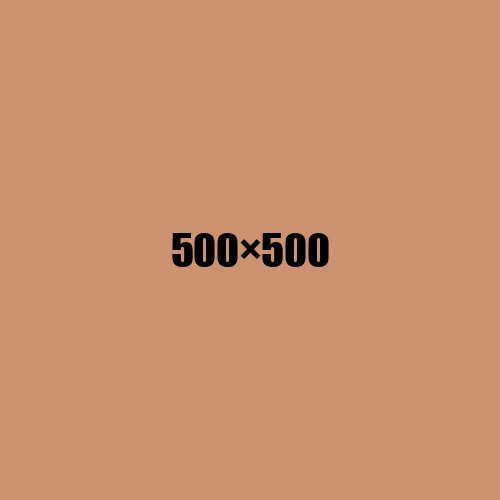 image de remplacement 500 × 500