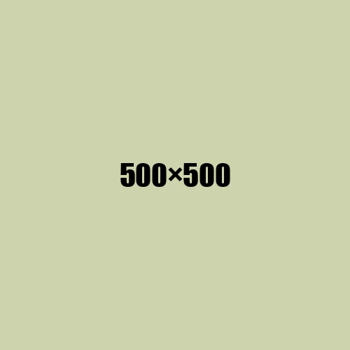 image de remplacement 500 × 500