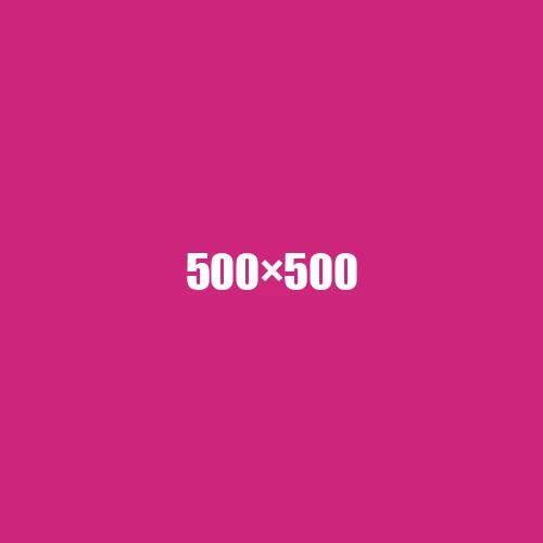 image de remplacement 500 × 500