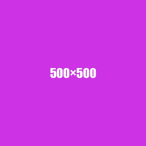image de remplacement 500 × 500