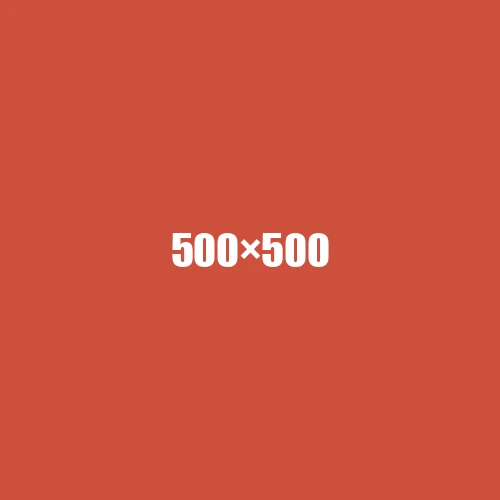 image de remplacement 500 × 500