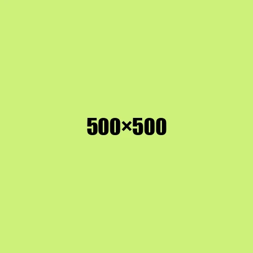 image de remplacement 500 × 500