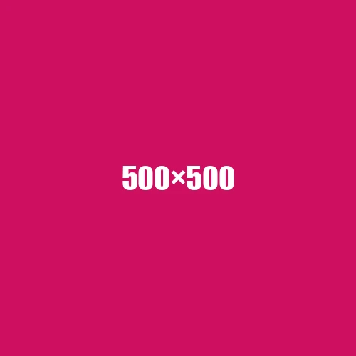image de remplacement 500 × 500
