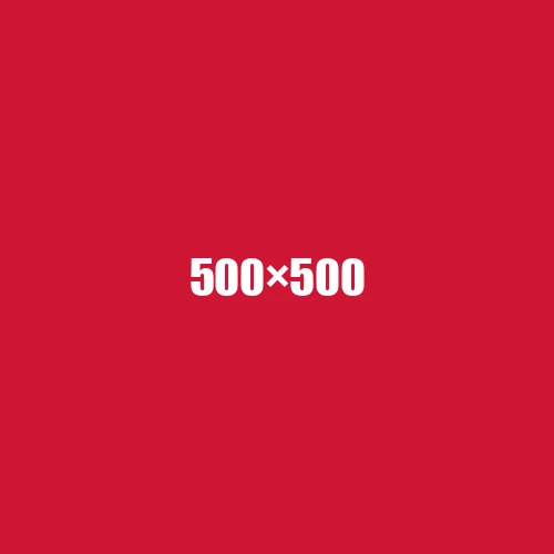 image de remplacement 500 × 500