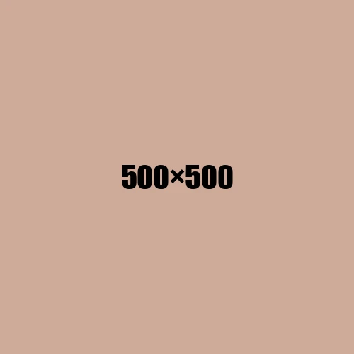 image de remplacement 500 × 500