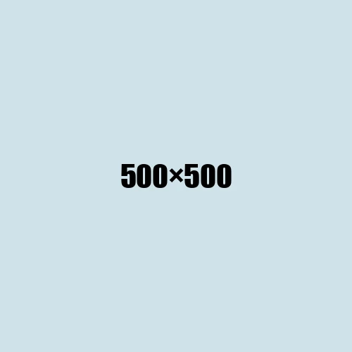image de remplacement 500 × 500