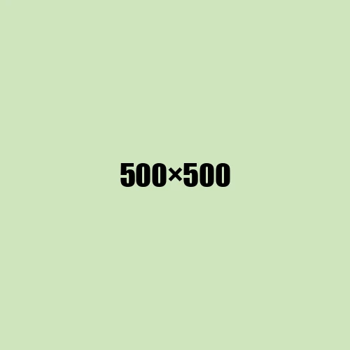 image de remplacement 500 × 500