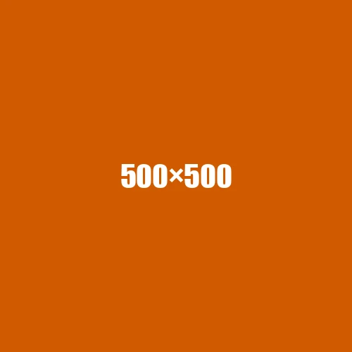 image de remplacement 500 × 500
