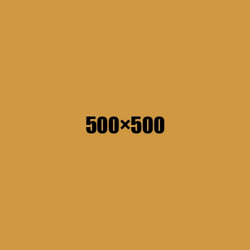 image de remplacement 500 × 500