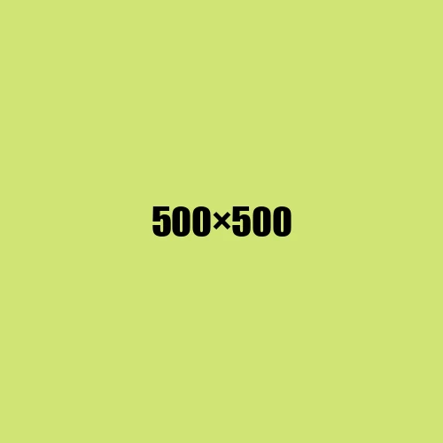 image de remplacement 500 × 500