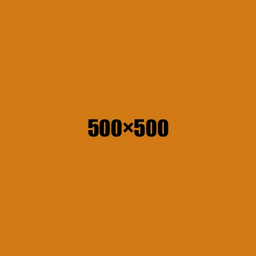 image de remplacement 500 × 500