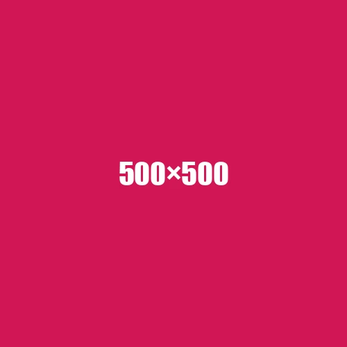 image de remplacement 500 × 500