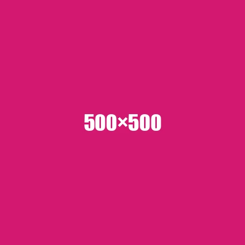 image de remplacement 500 × 500
