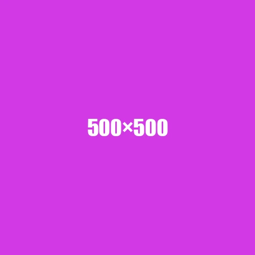 image de remplacement 500 × 500