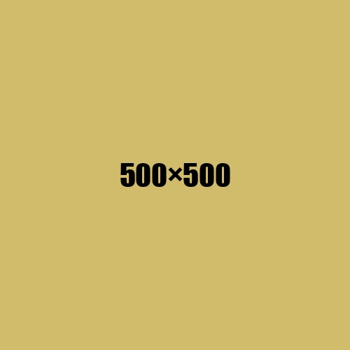 image de remplacement 500 × 500