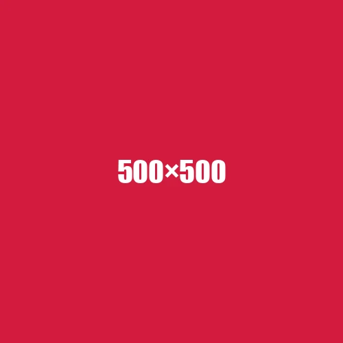 image de remplacement 500 × 500