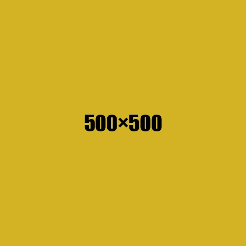 image de remplacement 500 × 500