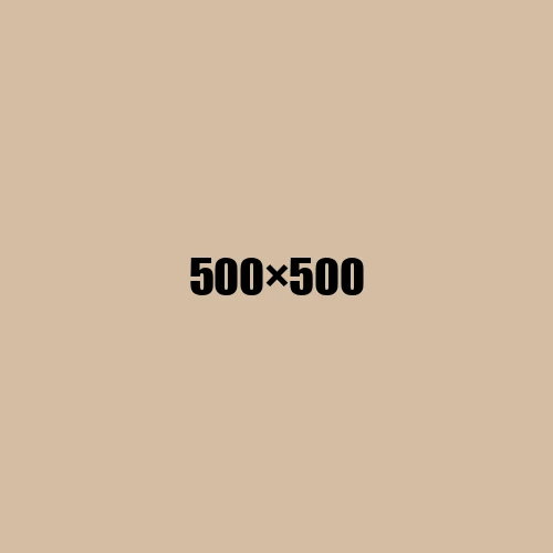 image de remplacement 500 × 500