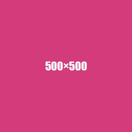 image de remplacement 500 × 500