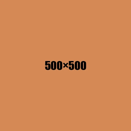 image de remplacement 500 × 500