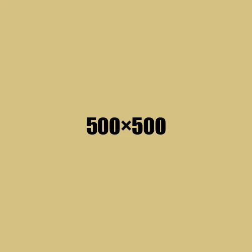 image de remplacement 500 × 500
