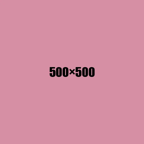 image de remplacement 500 × 500
