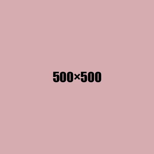 image de remplacement 500 × 500