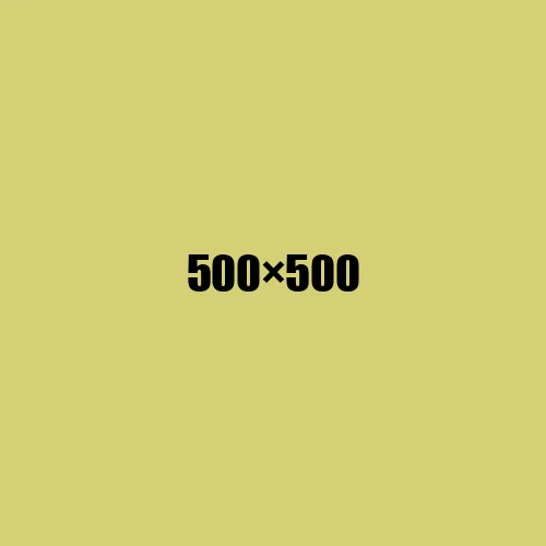 image de remplacement 500 × 500