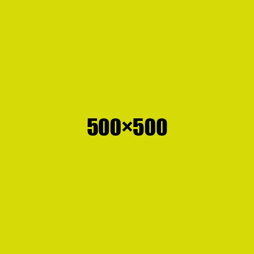 image de remplacement 500 × 500