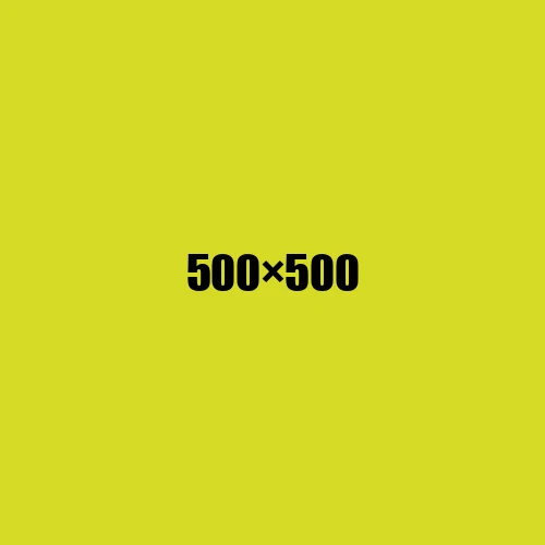 image de remplacement 500 × 500