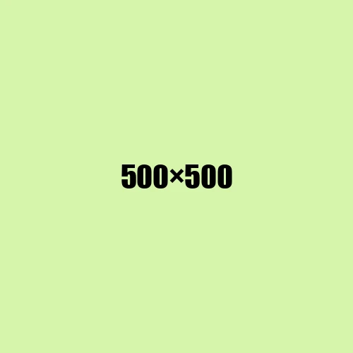 image de remplacement 500 × 500