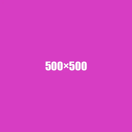 image de remplacement 500 × 500