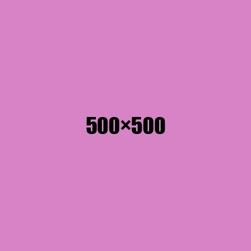 image de remplacement 500 × 500