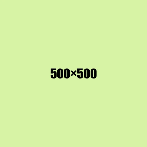 image de remplacement 500 × 500