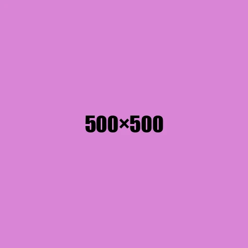 image de remplacement 500 × 500