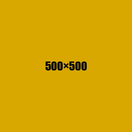image de remplacement 500 × 500