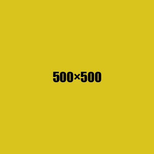 image de remplacement 500 × 500