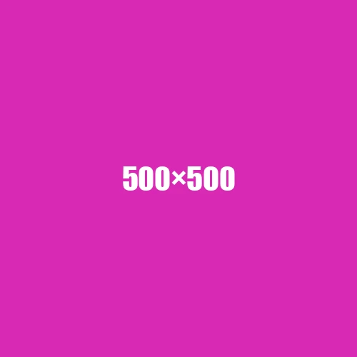 image de remplacement 500 × 500
