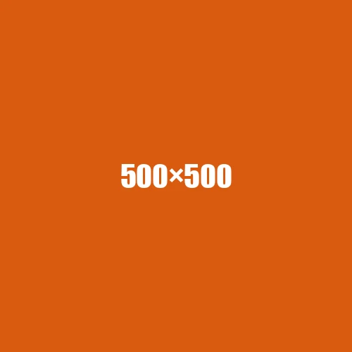 image de remplacement 500 × 500