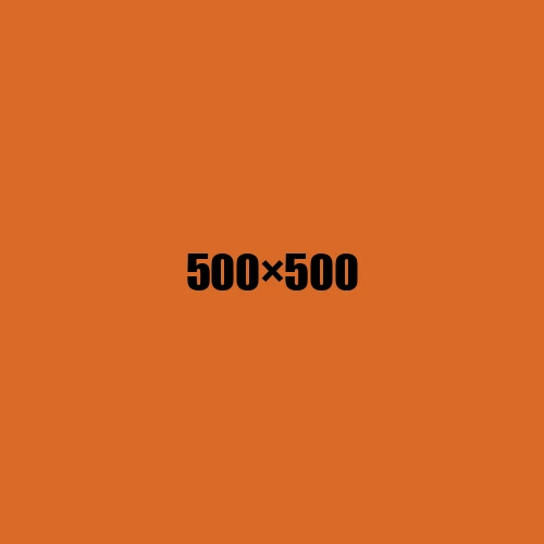 image de remplacement 500 × 500
