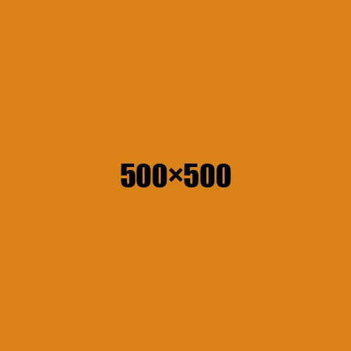image de remplacement 500 × 500