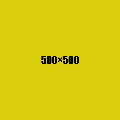 image de remplacement 500 × 500