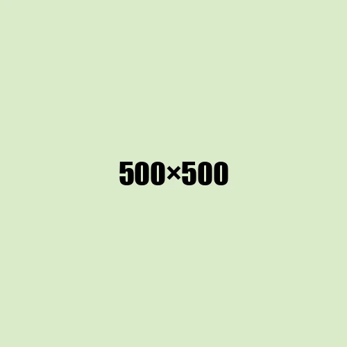 image de remplacement 500 × 500