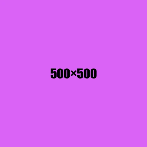 image de remplacement 500 × 500