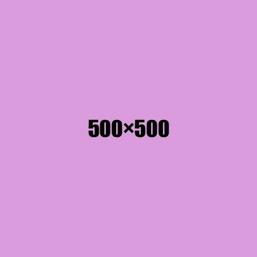 image de remplacement 500 × 500