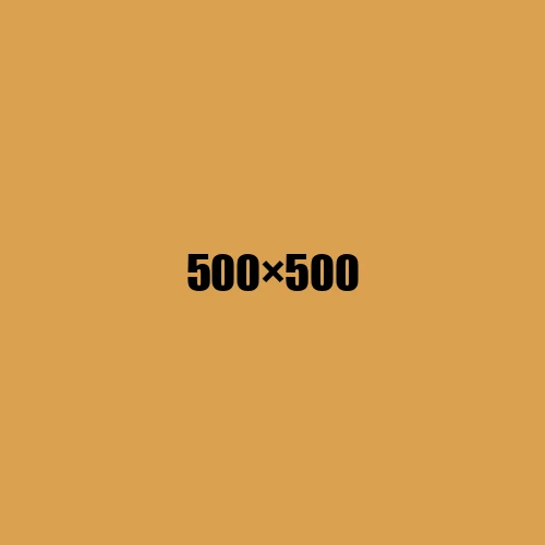 image de remplacement 500 × 500