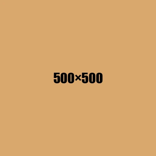 image de remplacement 500 × 500
