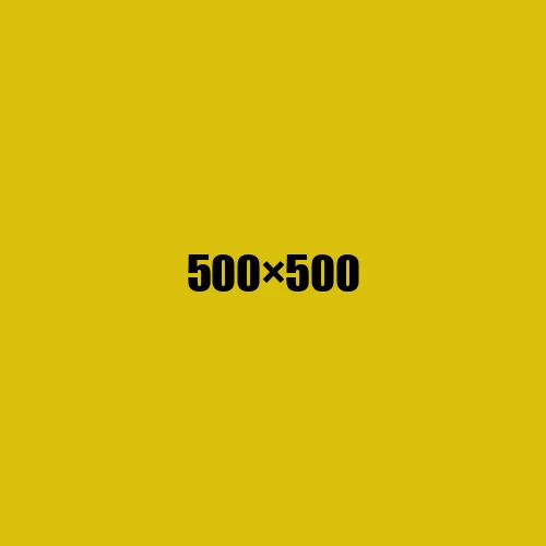 image de remplacement 500 × 500