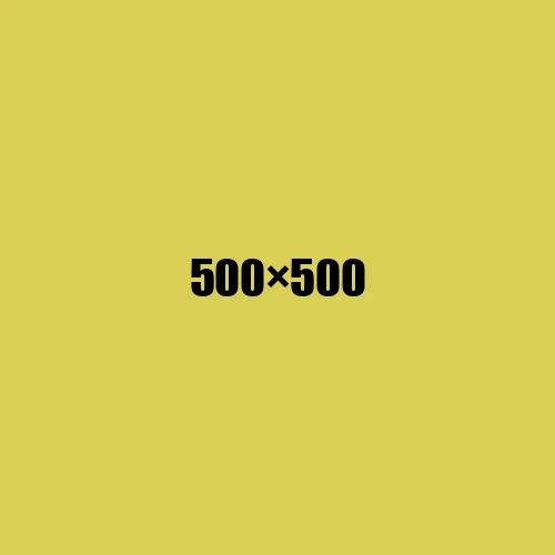 image de remplacement 500 × 500