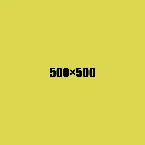 image de remplacement 500 × 500